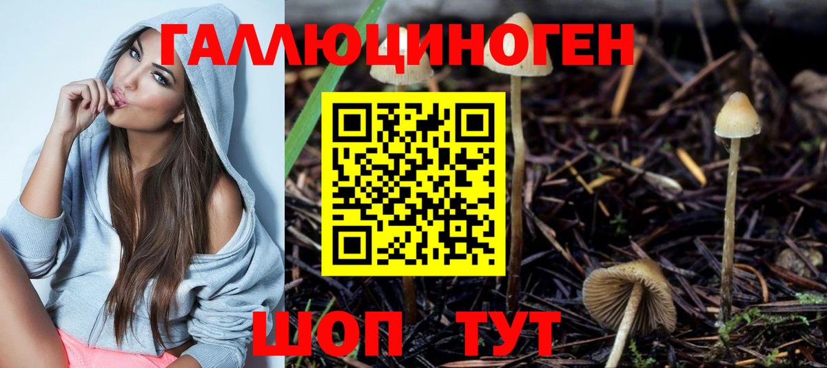 Галлюциногенные грибы Cubensis  Вход с VPN  Соликамск 