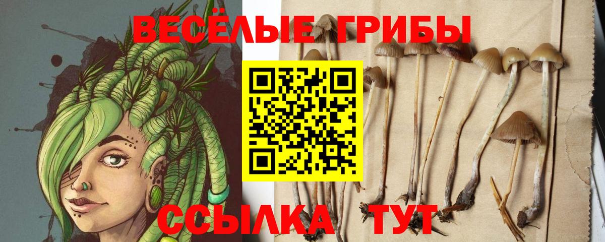 Галлюциногенные грибы GOLDEN TEACHER Соликамск